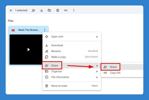 How to Send Large Video Files via Google Drive (2025 Update)